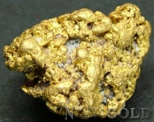 Gold Nugget 2031ER