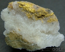 Specimen Gold 2201KRM