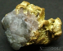 Specimen Gold 2059MAL_B