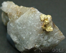 Specimen Gold 2143LH