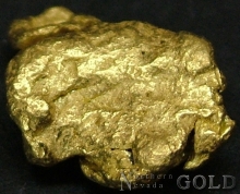 Gold Nugget 2160MX
