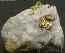 Specimen Gold  1144