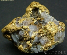 Gold Nugget  1729