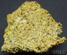 Gold Nugget 2028ER