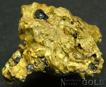 Specimen Gold 2049CH