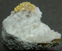 Specimen Gold 2005KH