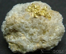 Specimen Gold 2003BUL