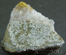 Specimen Gold 2019KH