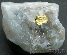 Specimen Gold 2023DF