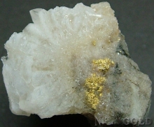 Specimen Gold 2205B_KRM