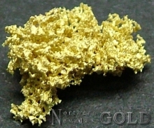 Specimen Gold 2197PAM