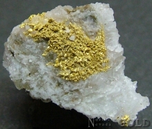 Specimen Gold 2013KH
