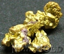 Specimen Gold 2204ADL