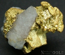 Specimen Gold 2059MAL
