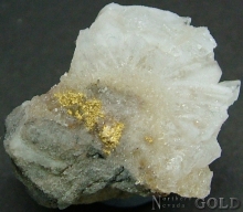 Specimen Gold 2205KRM