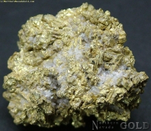 Specimen Gold  1670