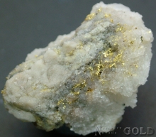Specimen Gold 2127