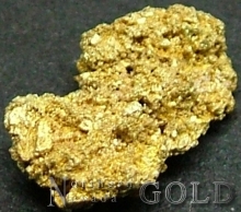 Specimen Gold 2202PAM