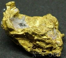 Specimen Gold 2052CH