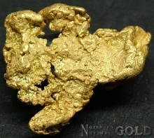 Gold Nugget 2162DG