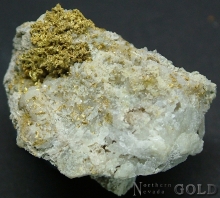 Specimen Gold 2131