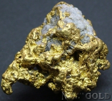 Gold Nugget 2156EUG_B
