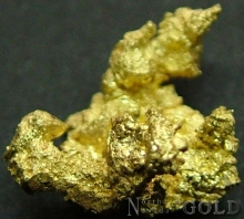 Specimen Gold 2211
