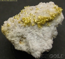 Specimen Gold  466