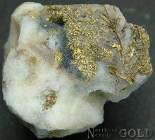 Specimen Gold 2191ST