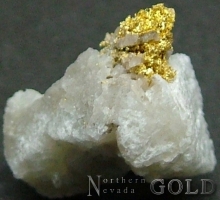 Specimen Gold 2194PAM