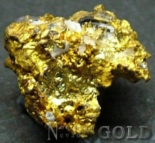 Specimen Gold 2047CH
