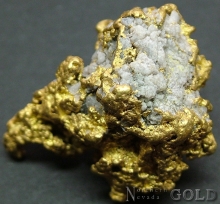 Gold Nugget 2156EUG_C