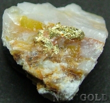 Specimen Gold 1933DG