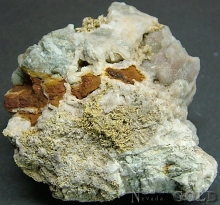 Specimen Gold 1967Adms