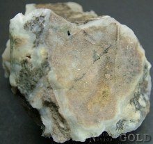 Specimen Gold 1970ST