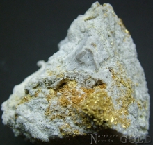 Specimen Gold 1900