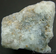 Specimen Gold 1956VC