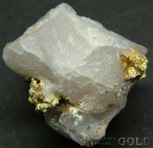 Specimen Gold 2141LH