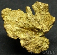 Gold Nugget 2175ER
