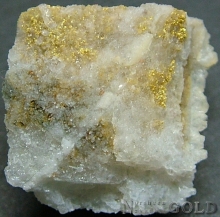 Specimen Gold 2196KRM