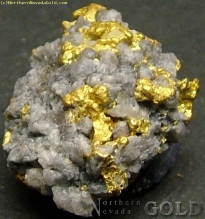 Gold Nugget  764