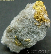 Specimen Gold  1745