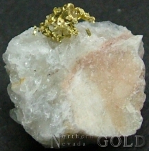 Specimen Gold 2206Shosh