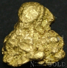 Gold Nugget 2164ER