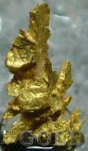 Specimen Gold 1958
