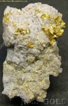 Specimen Gold  1299