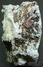 Specimen Gold 1930ST