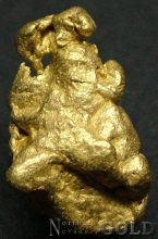 Gold Nugget 2183PF_B