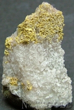 Specimen Gold 2008KH
