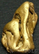 Gold Nugget 2173CNT